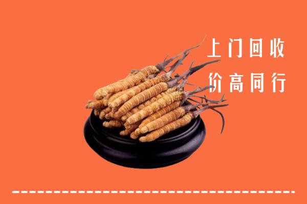 高价求购：顺义回收散虫草