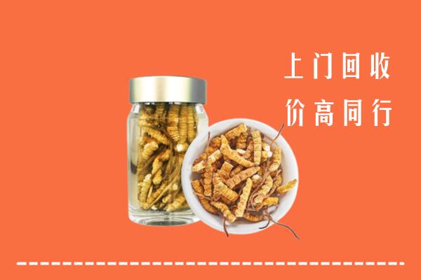 顺义回收冬虫夏草