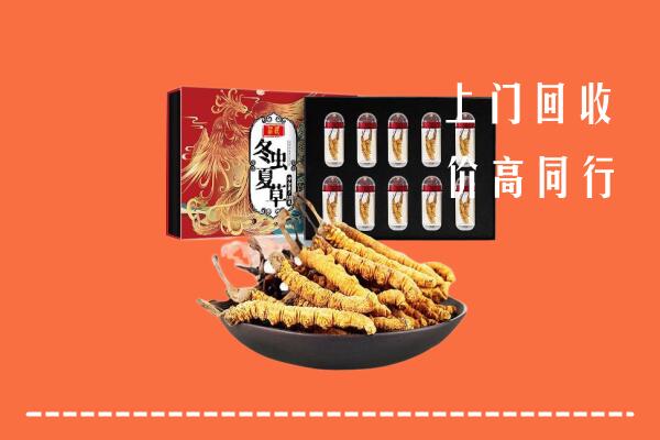 顺义回收虫草